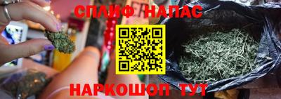 ГАЛЛЮЦИНОГЕННЫЕ ГРИБЫ Нальчик