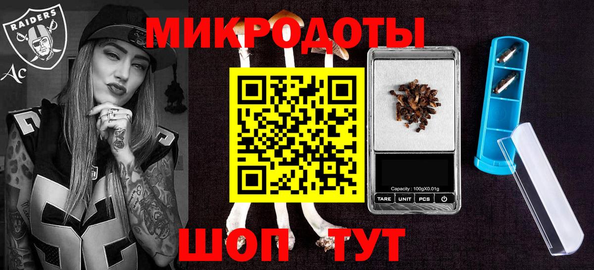 Псилоцибиновые грибы Psilocybine cubensis Сорочинск