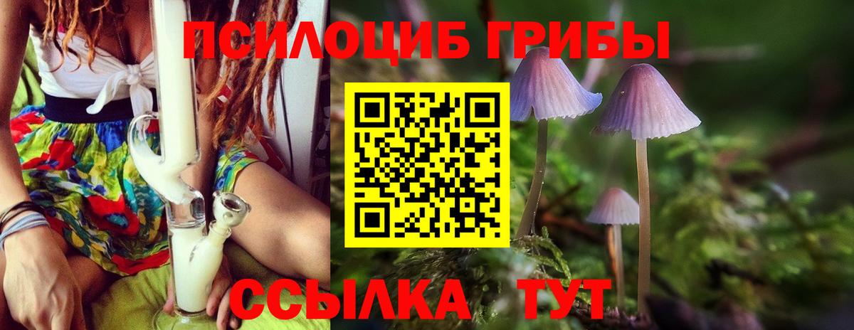 Сорочинск  Псилоцибиновые грибы прущие грибы  Вход с VPN 
